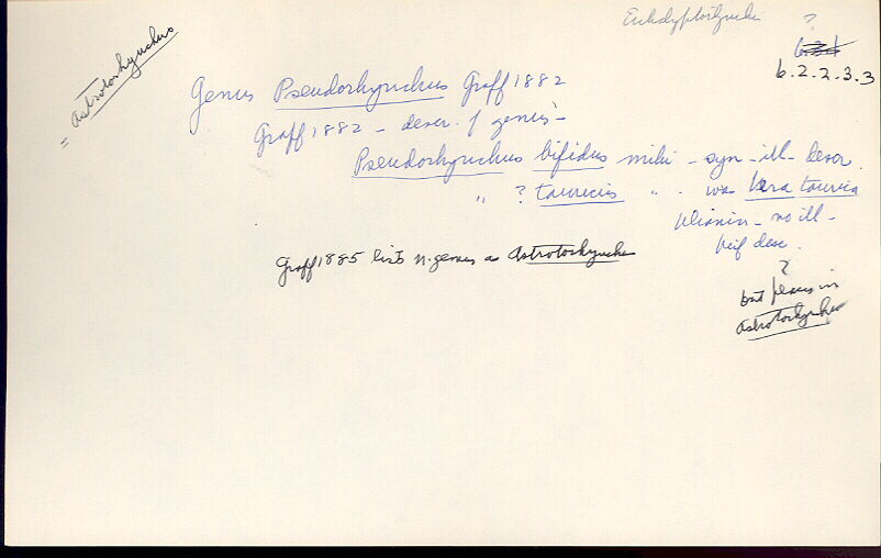 index card
