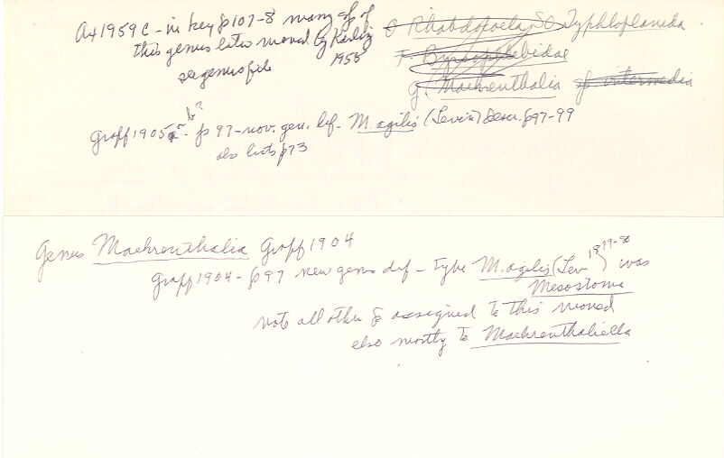 index card