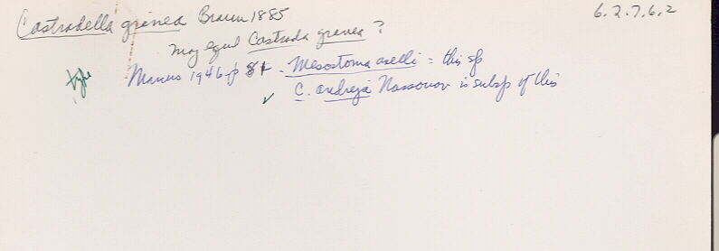 index card