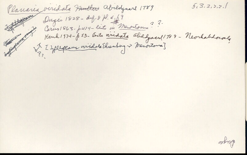 index card