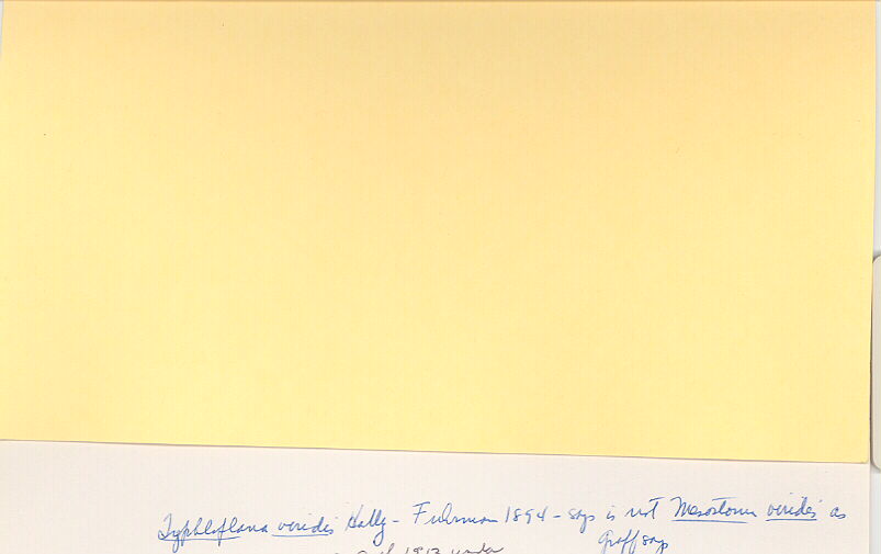 index card