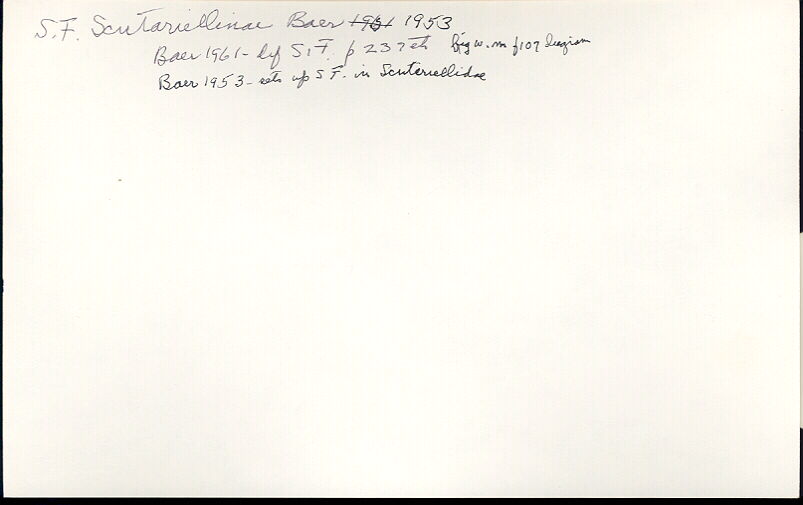 index card