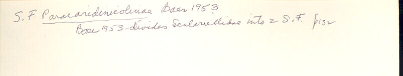 index card