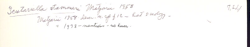index card