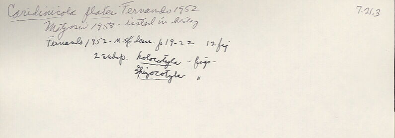 index card