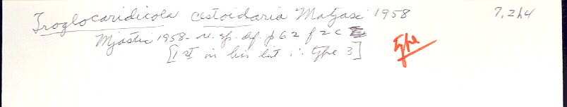 index card