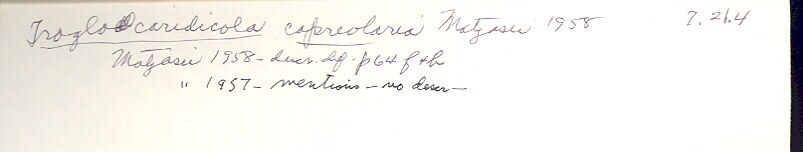 index card