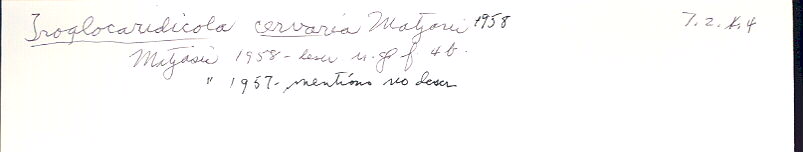 index card
