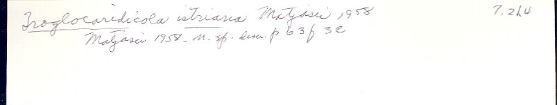 index card