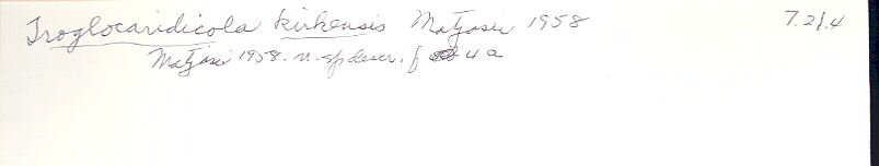 index card