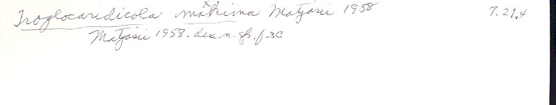 index card