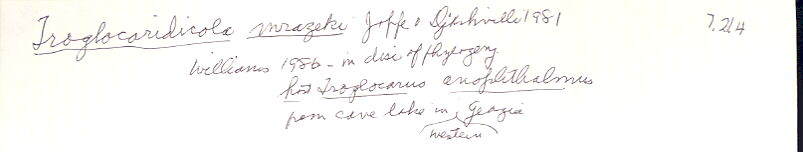 index card
