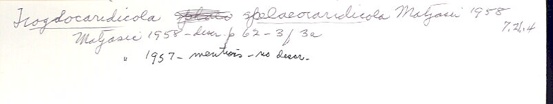 index card
