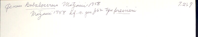 index card
