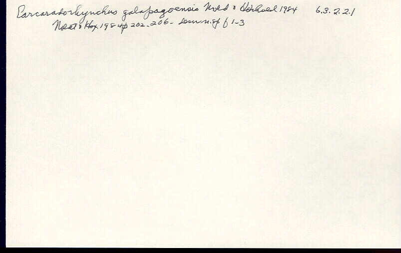 index card