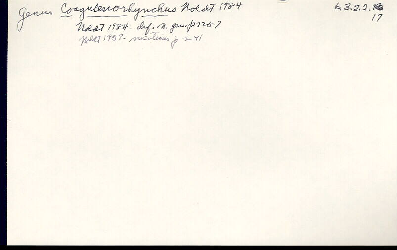 index card