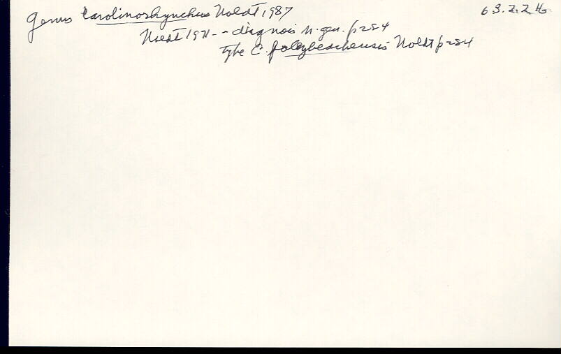 index card