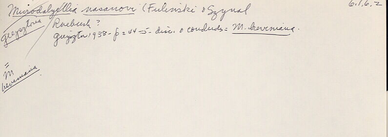 index card