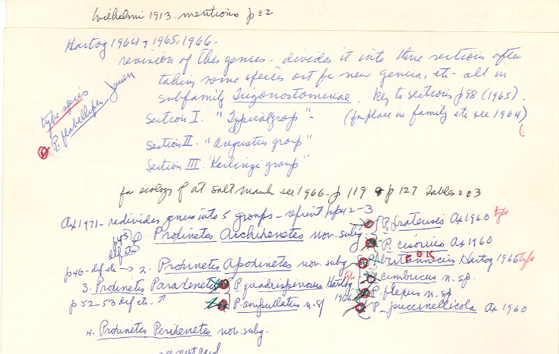 index card
