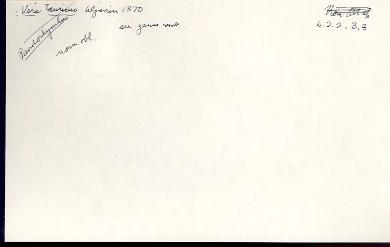 index card