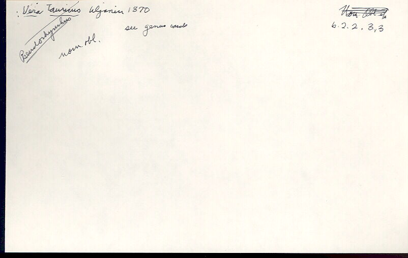 index card