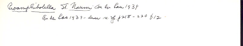 index card