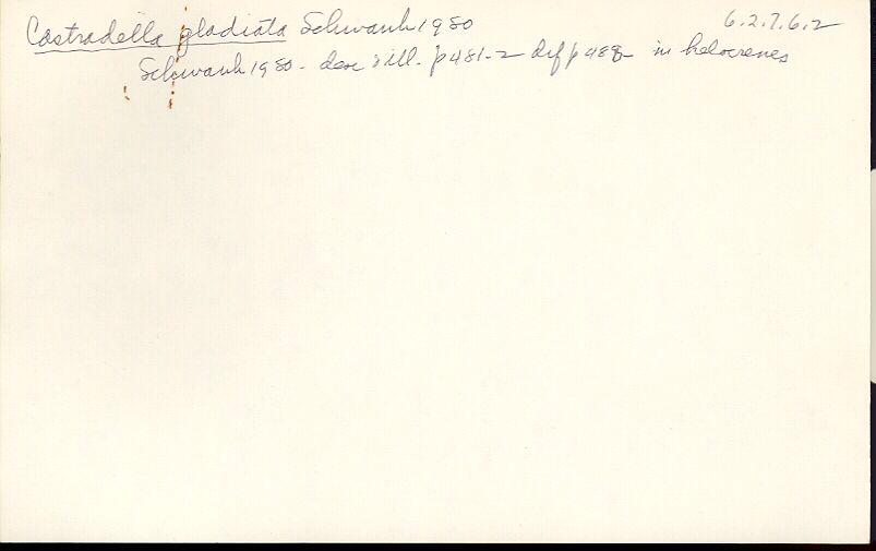 index card