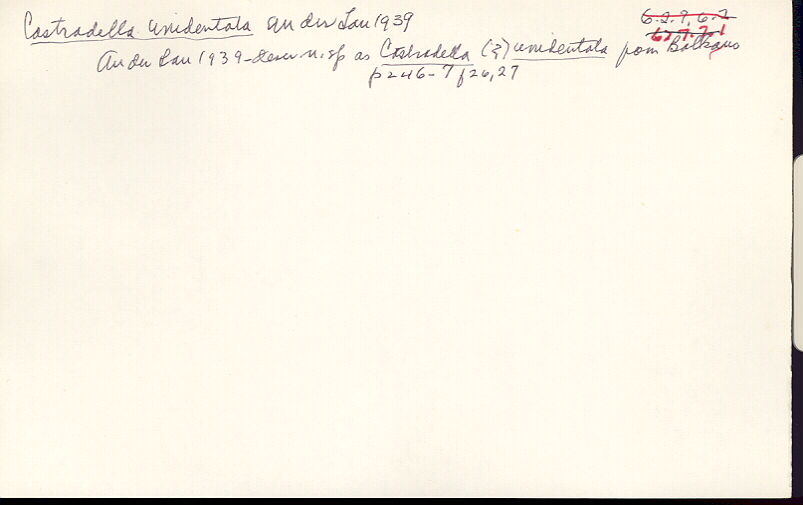 index card