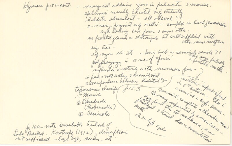 index card
