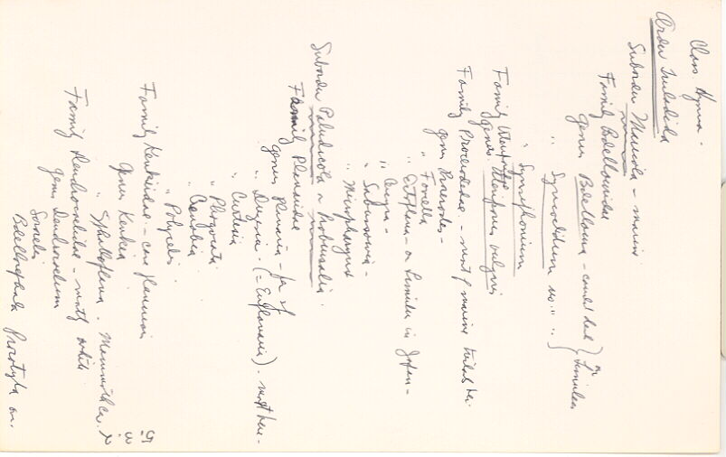 index card