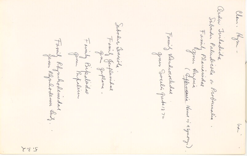 index card