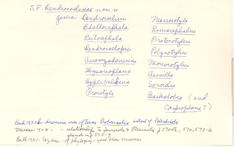 index card