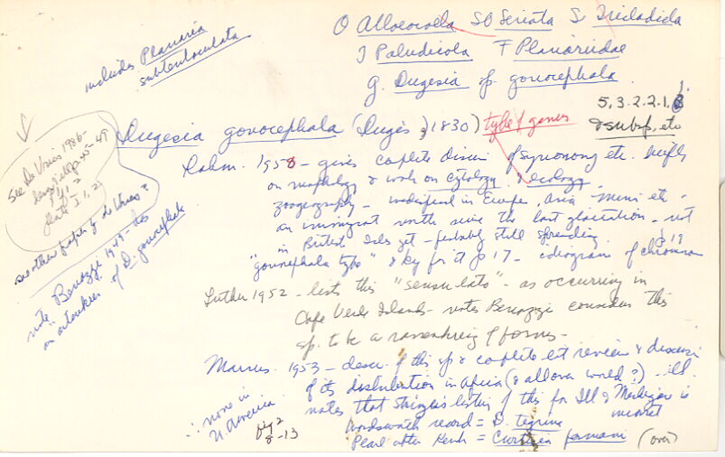 index card