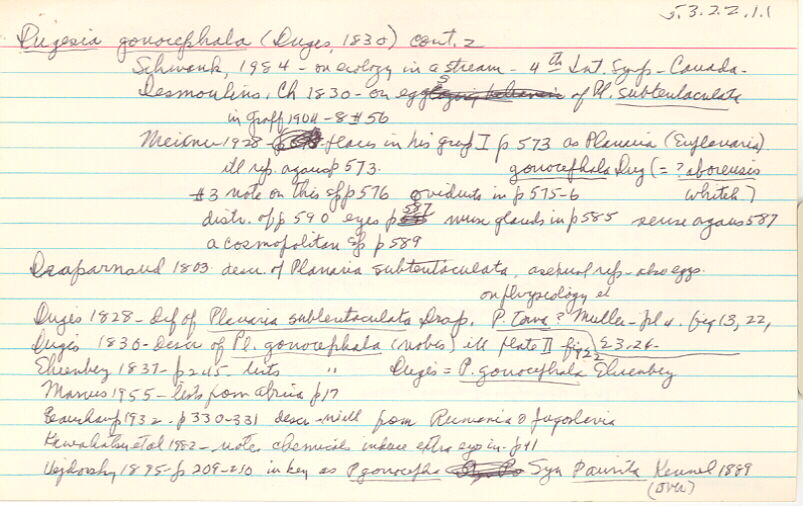 index card