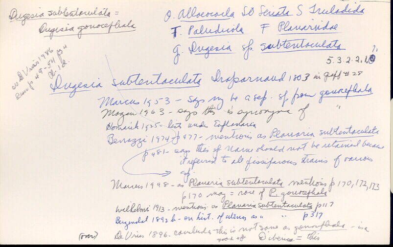 index card