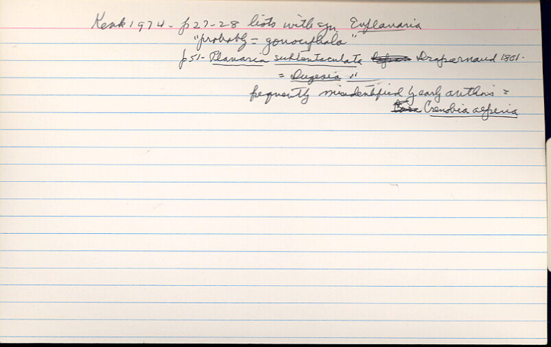 index card