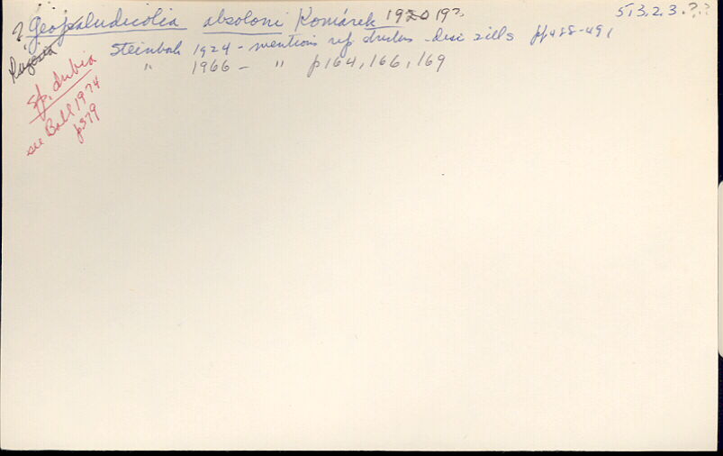 index card