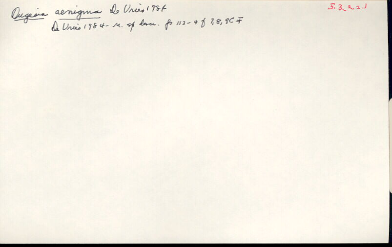 index card