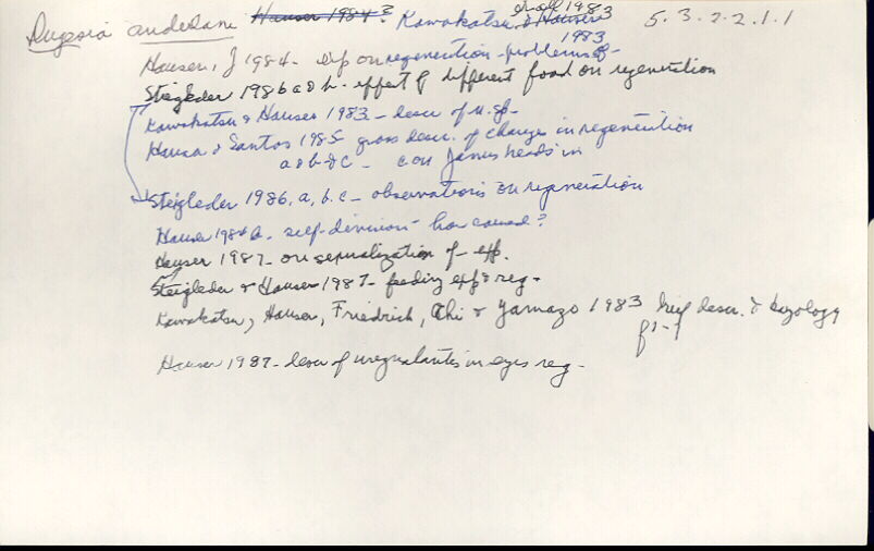 index card
