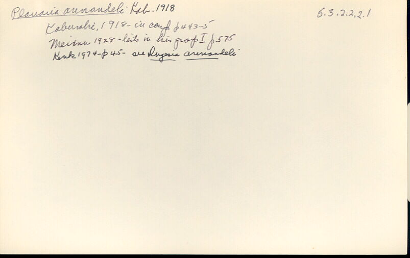 index card
