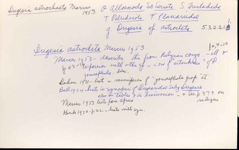 index card