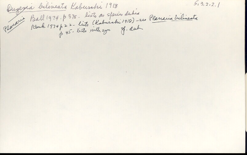 index card
