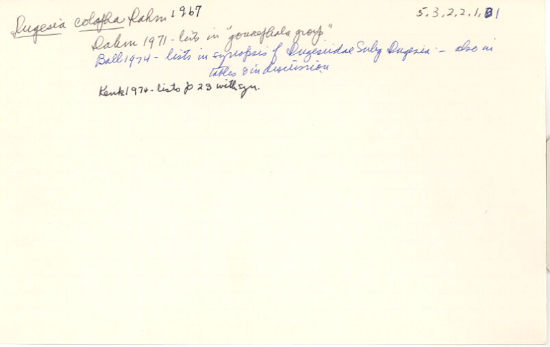 index card