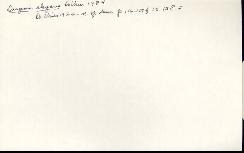 index card