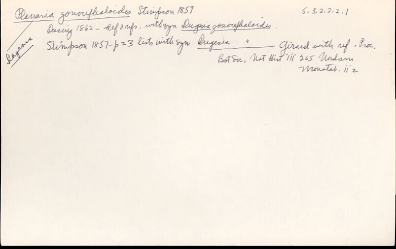 index card