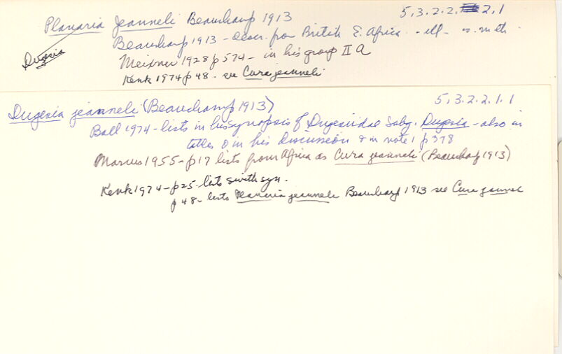 index card