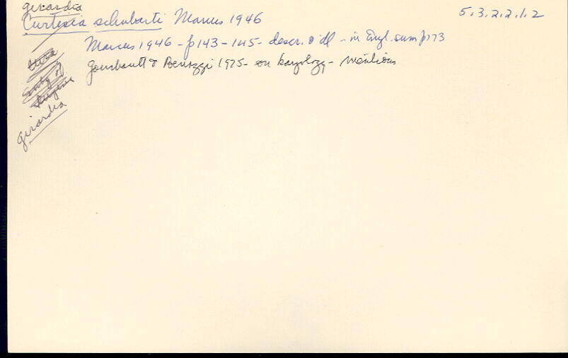 index card