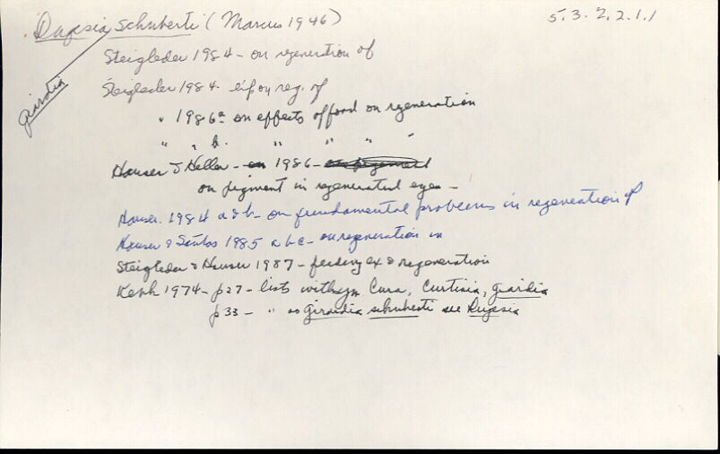 index card