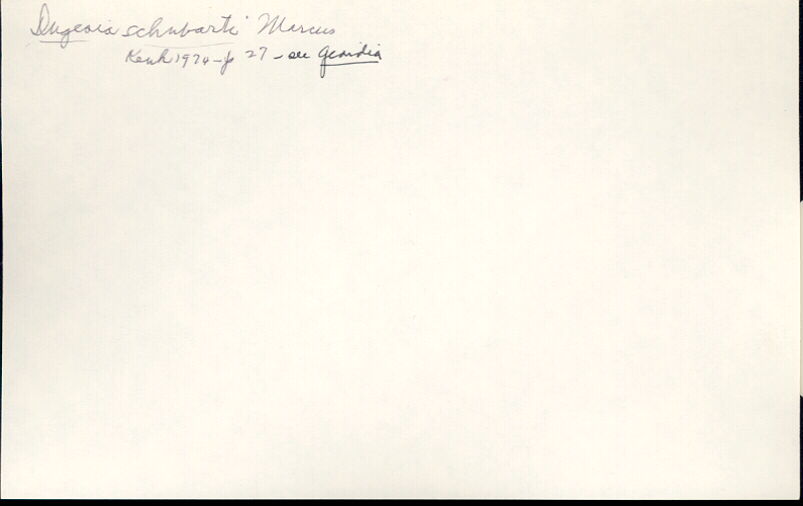 index card