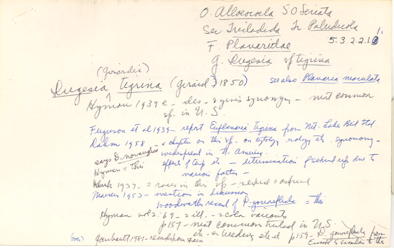 index card